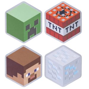 Minecraft Metal Coasters